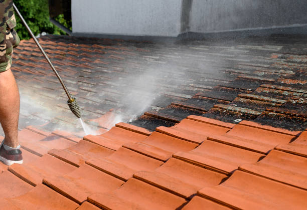 Best Exterior Home Cleaning  in Penn State Erie, PA